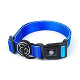 Tough nylon dog leash and collar for outdoor adventures, strong clasp and adjustable length included