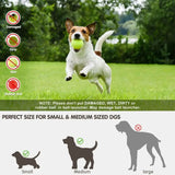 Portable automatic ball launcher perfect for keeping dogs active on outdoor adventures.