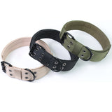 Three dog collars in beige, black, and green on a white background