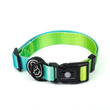 Reliable nylon dog collar and leash set for small to large breeds, stylish and heavy-duty design