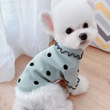 Small dog cotton turtleneck shirt with dots for cute, warm indoor and outdoor wear.