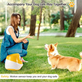 Happy dog returning a ball launched by the automatic fetch toy.