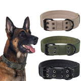 Dog wearing a green collar with three additional collars in beige, green, and black displayed above.