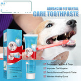 Pet dental care toothpaste with packaging, tube, and dog brushing teeth on a blue background