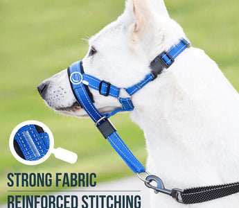 Dog-Muzzle-Revolutionizing-Canine-Comfort-and-Style 