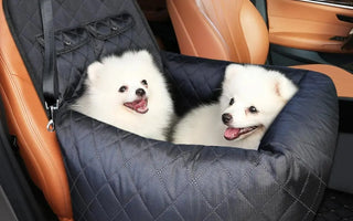Luxury Pet Products That Make Life Easier and More Stylish