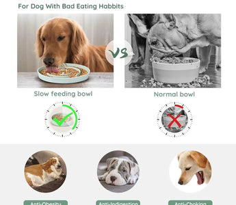 Why Slow Feeder Dog Bowls Are Essential for Your Pup's Health and Happiness 