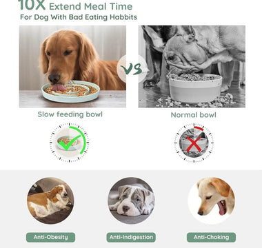 Why Slow Feeder Dog Bowls Are Essential for Your Pup's Health and Happiness 