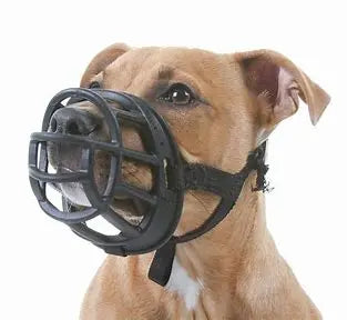 Baskerville-Muzzle-Safe-and-Comfortable-Choice-for-Your-Dog J.S.M
