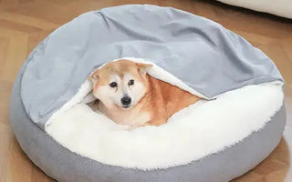 Choosing the Perfect Large Hooded Dog Bed: Comfort for Your Pup 