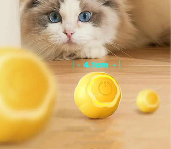 Unleash the Fun: Must-Have Toys for Your Playful Kitty!