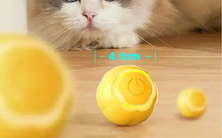 A-Guide-to-Remote-Controlled-Teasing-Toys-for-Cats J.S.M
