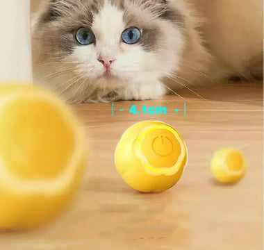 A-Guide-to-Remote-Controlled-Teasing-Toys-for-Cats J.S.M