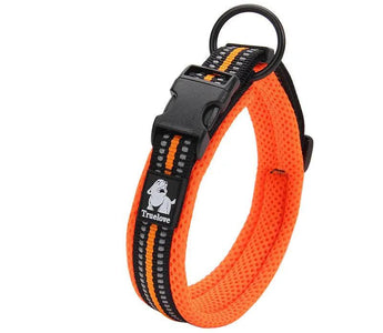 Collar Couture: Adorn Your Pup in the Trendiest Styles