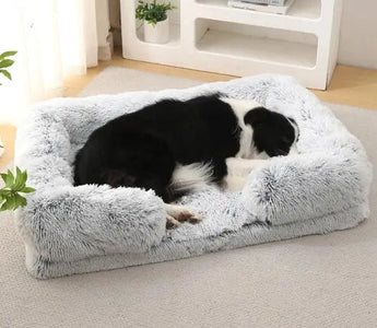 Best-products-and-accessories-to-enhance-the-lives-of-dogs-and-cats. J.S.M