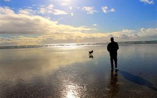 The Ultimate Guide to Dog-Friendly Holidays UK
