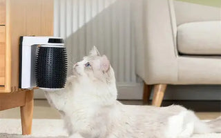 Transform Your Cat's Grooming with the Automatic Self Groomer 