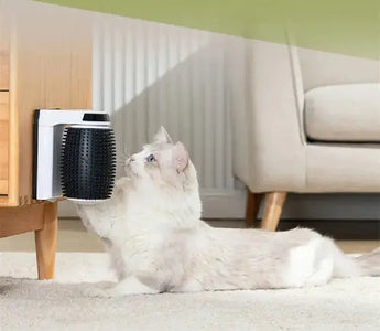 Transform Your Cat's Grooming with the Automatic Self Groomer 