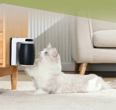 Transform Your Cat's Grooming with the Automatic Self Groomer 