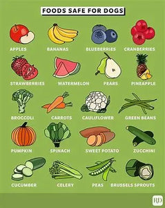 Safe Fruits for Dogs - J.S.M