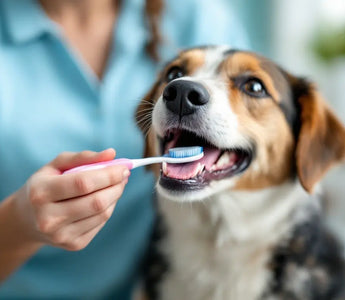Pet-Dental-Care-101-A-Step-by-Step-Guide-to-Healthy-Teeth-and-Gums J.S.M