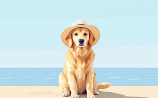 Hot-Days-Happy-Minds-Keeping-Your-Dog-Stimulated-During-Warm-Weather J.S.M