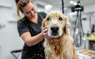 dog having a wash