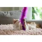 Unleashing-Fun-The-Ultimate-Guide-to-Cat-Toys-Feather-Sticks J.S.M