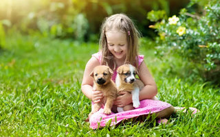 How to Buy a Puppy in the UK (2025 Guide) Costs & What to Avoid