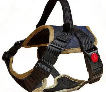 Your Guide to Cool Dog Harnesses 