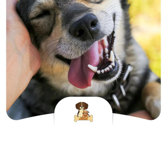 JSMPet Supplies Puppies Products