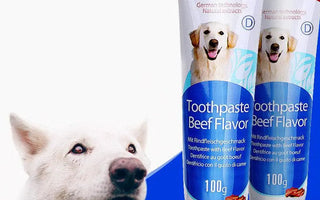 Bioline Toothpaste image with dog