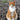 Cat Products