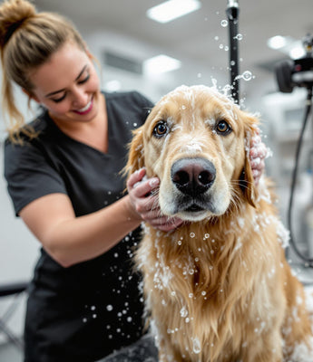 Pet Care Products UK – Eco-Friendly Grooming & Health Essentials