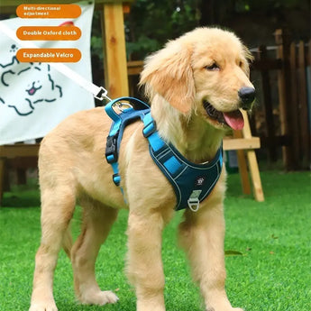 Adjustable vest-style dog harness for medium and large dogs, ideal for comfortable daily walking.