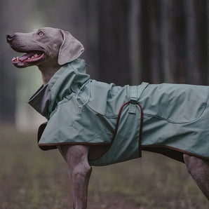 Outdoor Soft Shell Waterproof Windproof Warm Dog Jacket main