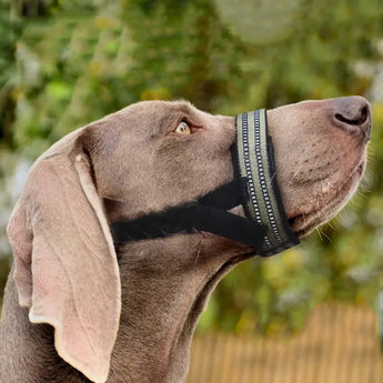  Large dog muzzle with anti-bite design, reflective straps, secure fit, and breathable comfort.