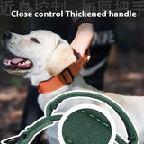Durable Tactical Dog Collar with Nylon Material and Quick-Release Buckle for Outdoor Training