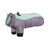 Stylish dog jacket with reflective accents for winter walks