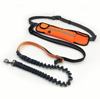 Dog leash and orange pouch on a white background