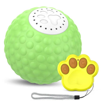 interactive cat toy green