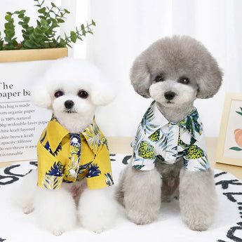 Small dog wearing lightweight Hawaiian pet clothes for summer comfort with fun coconut island print design.