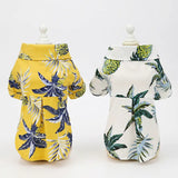 Cute cat in breathable coconut-themed summer pet outfit for hot weather comfort and tropical style.