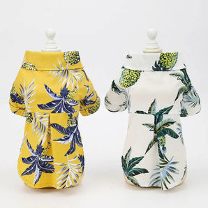 Cute cat in breathable coconut-themed summer pet outfit for hot weather comfort and tropical style.