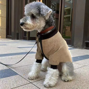 Soft and practical winter jacket for pets, perfect for cold weather