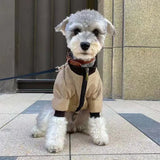 Cozy and stylish winter jacket for pets in neutral khaki