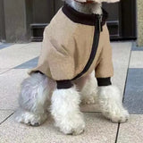 Pet winter jacket with comfortable and protective design