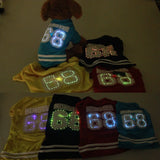 LED pet clothes nain