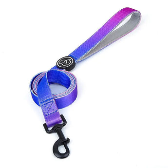Breathable nylon dog collar and leash with soft padding, secure clasp, and adjustable fit -  Purple-mood-Lead-S
