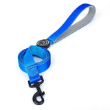 Heavy-duty nylon collar and lead for dogs, built for strength, comfort, and reliable performance -  Azure-Sea-Lead-S